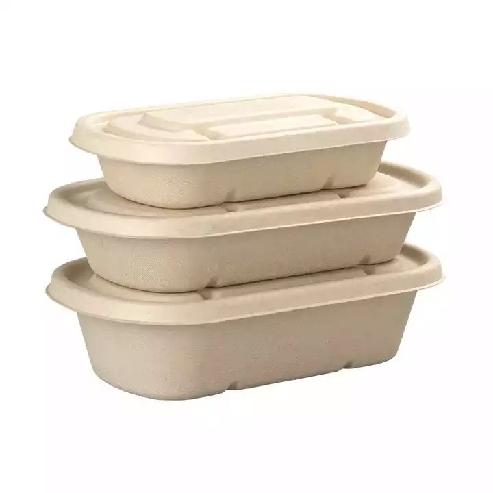 Disposable Sugarcane Bagasse Food Packaging Container Take Away 750ml 2 ...
