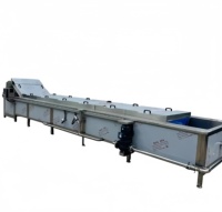 Industriële Groente Fruit Wassen Reiniging Sorteren Snijden Blancheren Drogen Productielijn Groente Fruit Verwerking Machine