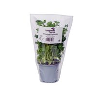 Sacs de courses micro-perforés avec impression en héliogravure pour fournisseur chinois, personnalisables avec logo et couleurs, en OPP+CPP