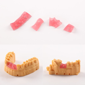 LEYI DGV01 Resina Elastica per Gengive Dentali Rosa Trasparente 1kg Modelli Realistici di Gengive Alta Resistenza allo Strappo Stabilità Dimensionale Purezza 100% - Product Image 3