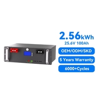 Batterie LiFePO4 25,6V 100Ah pour rack modulaire 2,56 kWh, stockage solaire compact, BMS Bluetooth/WiFi/CAN, 6000+ cycles, 16 unités en parallèle, Grade A