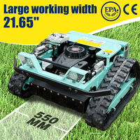 Cortadora de Césped Mini Crawler con Certificación CE y E, Elevación Manual, 9HP, para Invernaderos, Granjas, Aeropuertos, Patios Traseros y Sitios de Recuperación