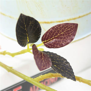 Venta al por mayor de plantas artificiales, árbol, hojas de <span class=keywords><strong>Olmo</strong></span>, simulación de vegetación, hojas decorativas, arreglo floral - Product Image 4