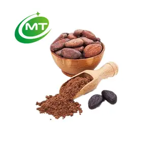 Theobromo Bubuk Kakao Kualitas Tinggi 100% Alam Murni Biji Kakao Organik Bubuk Kakao Terbaik untuk Minuman Energi Jumlah Besar