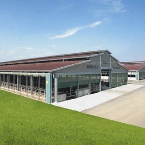 Edificio per Allevamento Bovino in Struttura d'Acciaio Economico <span class=keywords><strong>RT</strong></span> di Qingdao, Design Moderno per Fattorie a Prezzi Cinesi - Product Image 2