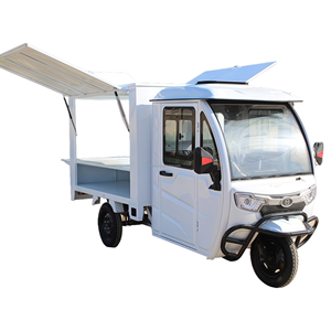 Haute qualité personnalisé à trois roues adulte électrique Cargo <span class=keywords><strong>Jet</strong></span> <span class=keywords><strong>Ski</strong></span> longue portée tricycle électrique au prix d'usine - Product Image 6