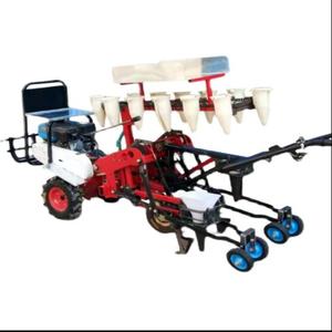 Machine à planter des <span class=keywords><strong>semis</strong></span> de légumes de la meilleure qualité, type transplanteur de fraises, machine à planter des oignons - Product Image 5