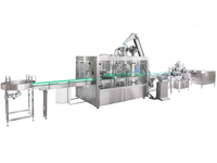 Entièrement Automatique D'embouteillage De Jus De Fruits Machine Presse-agrumes Ligne de Production de Jus De Canne à sucre
