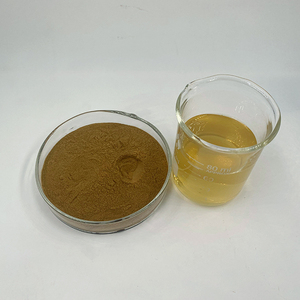 Giá tốt nhất polyphenol quế vỏ cây chiết xuất bột quế vỏ cây chiết xuất - Product Image 2