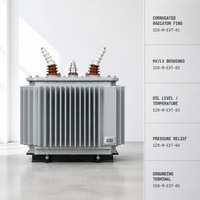 Transformateur de distribution triphasé immergé dans l'huile 250 kVA 6-35 kV, 50/60 Hz, certifié IEC
