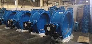 एपॉक्सी लेटेड डक्टाइल आयरन डबल फ्लैंज एक्केंद्रित प्रकार फ्लैंज तितली वाल्व के साथ एन1092 फ्लैंज के साथ - Product Image 5