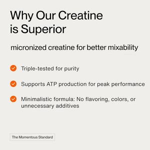 Customized Label <b>Creatine</b> Powder Dietary Supplement 450 g Workout Recovery Energy Support <b>Creatine</b> Extracts Supplement - Product Image 4