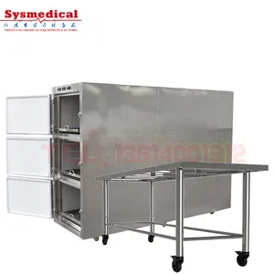 Mortuary buzdolabı kadavra buzdolabı tabut ve tabut hastane kadavra soğutma odası ceset dondurucu fiyat