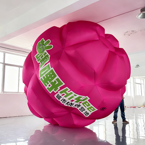 Ballon gonflable publicitaire personnalisé en forme de dragon fruit pour décoration et événements, vente <span class=keywords><strong>aux</strong></span> enchères d'usine, fête en plein air, <span class=keywords><strong>camping</strong></span> - Product Image 4