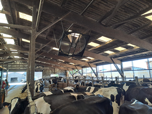 Ventilador Eléctrico de Pared de Alta Resistencia de 72 Pulgadas para Ventilación de Establos, Ventilador de Gran Volumen de Aire para Control de Temperatura en Granjas Lecheras - Product Image 6