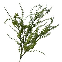 Groothandel Nieuwe Simulatie Groen Mos Lucht Gras Asperges Gras Dragon Mos Zachte Bruiloft Decoraties Nep Kunstmatige Plant