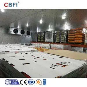 600 toneladas de explosão congelador profundo fabricação de sala fria feita na china recipiente armazenamento de sala fria