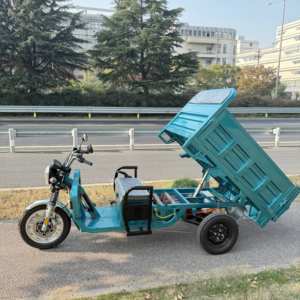 Nuevo Producto 2026 en Existencia en la UE, Triciclo Eléctrico de Carga de 45 km/h, Aprobado por EEC COC, Carga de 1000 kg, Grúa Hidráulica de Descarga Automática - Product Image 1