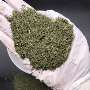 X031 Feuilles de persil <span class=keywords><strong>séchées</strong></span> en vrac, prix de gros abordable, épice naturelle aromatique et savoureuse, herbe de persil - Product Image 4