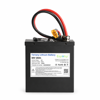 Custom Lithium Ion Battery Pack 60V 20Ah 1200Wh NCM Battery with Smart BMS for Electric Moped and Electric Motorcycle