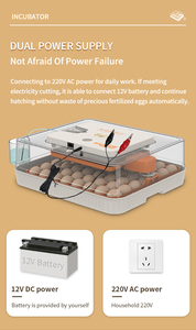 Wonegg kiểm soát độ ẩm 2025 AC/DC lồng ấp trứng với độ ẩm nở lồng ấp trứng - Product Image 3