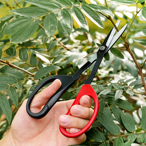 Thiết kế mới Đen Thép không gỉ trong chậu cắt kéo cho vườn OEM công nghiệp cấp hai màu xử lý cây ăn quả kéo - Product Image 2