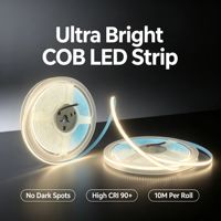 Bande LED en silicone intégral 5mm 400 LED/m, PCB double cuivre électroplaqué, 5V 12V 24V, plusieurs couleurs pour éclairage personnalisé large spectre