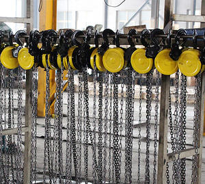 <span class=keywords><strong>Hsz</strong></span> Blok Katrol Rantai 5 Ton/Kerekan Rantai Tarik/Kerekan Rantai <span class=keywords><strong>Vital</strong></span> - Product Image 3