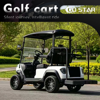 Kendaraan Golf Listrik 2 Kursi yang Legal di Jalan Raya, Dilengkapi Lampu LED, Bersertifikasi CE, Kendaraan Antar-Jemput Hotel dan Resor