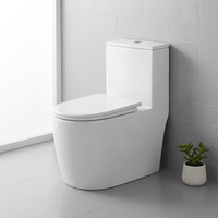 WC en céramique moderne, monobloc, double chasse d'eau, siphon en P, fermeture lente, haute qualité, sanitaire pour hôtel, salle de bain