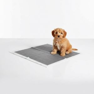 <b>Puppy</b> Training <b>Pads</b> CDHB Brand Certified Super Absorbency Japan SAP Waterproof Dog <b>Pad</b> - Product Image 4