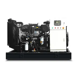 Hoogwaardige 24kw Diesel Generator 30kva Elektrische Generator Aangedreven Door Perkin Motor 1103a-33a Slient Type