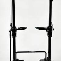 Station de traction assistée et de dips - Tour de musculation robuste pour entraînement de force à domicile