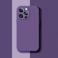 Coques arrière personnalisées de haute qualité en TPU coloré antichoc pour 17/15/11/12/13/14 Pro Max/XS/XR/7/8/15pro