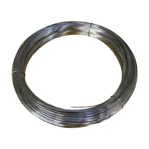 SUS/AISI/ASTM 316 304 Coated Stainless Steel Spring Wire for Piano Wire/Fishing Hooks