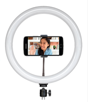 Anneau lumineux LED WF FL-12P 12 pouces pour photographie avec support de téléphone portable pour l'enregistrement vidéo, la diffusion en direct et le maquillage