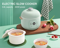 Baru panci rebus listrik tidak langsung panas Nutricook pintar memasak kecil 0,8l 800ml Steamer panci masak lambat elektrik