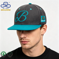 Casquette Snapback personnalisée en mélange de coton biologique à 6 panneaux avec logo brodé, visière plate, style Hip Hop pour streetwear OEM/ODM