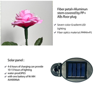 Lampes solaires de jardin à fibres optiques LED RGB multicolores changeantes, étanches IP65, piles AA, 8000 heures, fleur de rose romantique