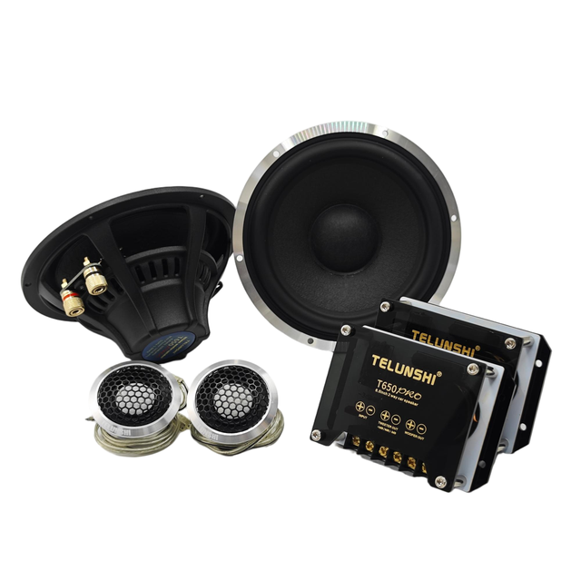 OEM 6.5 Inch 2-Way Coaxial Speakers for Automotive Audio Systems