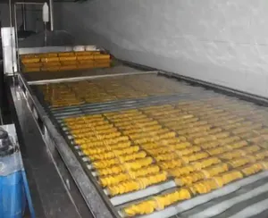 Linea di pastorizzazione <span class=keywords><strong>per</strong></span> il pacchetto morbido bagno d'acqua insaccato bottiglia di cibo pastorizzazione continuo <span class=keywords><strong>marmellata</strong></span> in scatola pastorizzatore macchina - Product Image 6