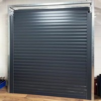 Porte à enroulement en aluminium silencieuse, finition moderne personnalisée, coupe-vent, pour garage ou atelier