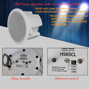 Enceintes murales de studio HS65CL pour diffusion publique, équipement audio pour salles de classe et scènes de campus - Product Image 5