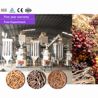 Ligne de production de granulés de biomasse CLASSY, machine de fabrication de granulés à partir de déchets de palmier, de tiges de coton et de copeaux de bois, fournisseur d'usine