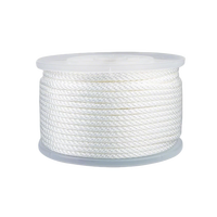 Corde tressée solide en nylon blanc à faible élasticité, résistante à l'abrasion et aux UV, pour mât de drapeau, longe, corde à linge, camping et artisanat