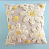 Housse de coussin de canapé, broderie tendance, utilisation hôtelière, fermeture éclair, design à motifs