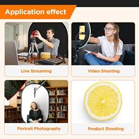 AXRTEC AA540 1.5*2m 2 in 1 Panel Latar Belakang Lipat Biru & Hijau Dengan Tas Pembawa untuk Fotografi Video Studio