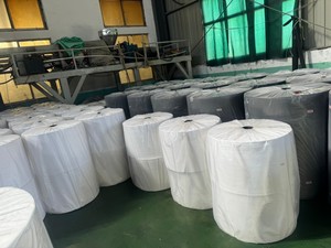 Géotextile en PP Spunbond Écologique et Biodégradable pour l'Agriculture – Tissu Non-Tissé en PP pour Couverture de Plantes - Product Image 2