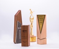 Récompense et tasse en bois gravé, plaque en bois au Design personnalisé pour cadeaux d'entreprise