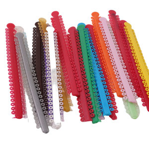 Zahnmodell für die Ausbildung, bunte Zahnspangen, Ligaturen, Dental-Power-Chains, kieferorthopädische elastische Gummibänder - Product Image 2